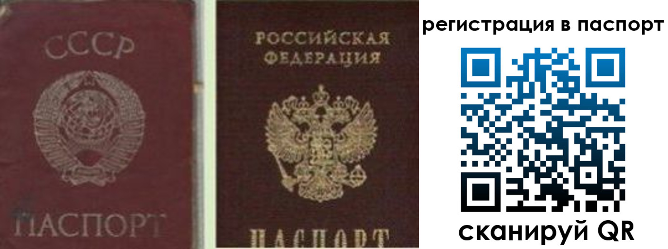 прописка для работы в Дмитрове