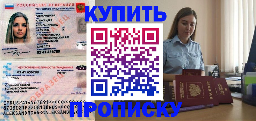 где прописаться в Дмитрове